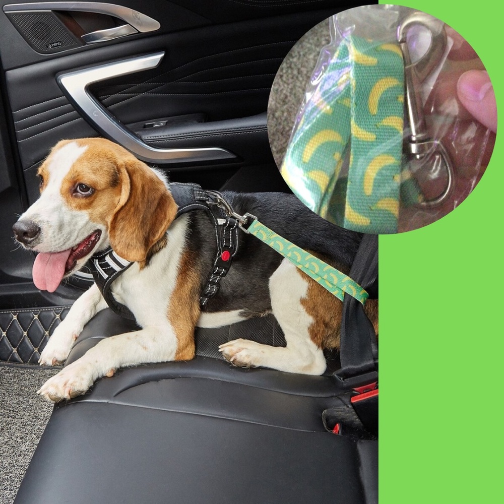 Banana Print Pet Car Seat Belt